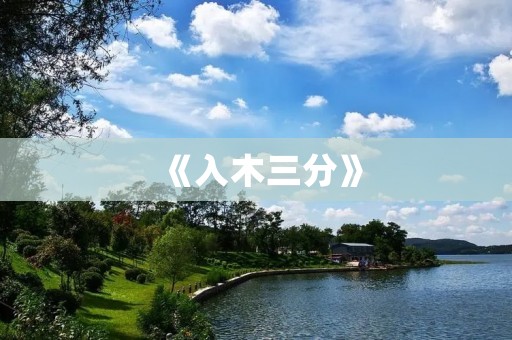 《入木三分》:一个医学天才的成长之路 《入木三分》:一个医学天才的成长之路