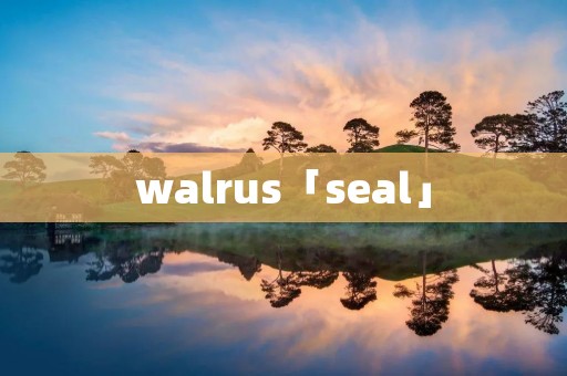 walrus「seal」