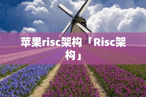苹果risc架构「Risc架构」