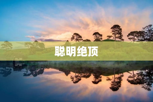 聪明绝顶:如何成为聪明的人 聪明绝顶:如何成为聪明的人