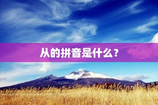 从的拼音是什么? 从的拼音是什么?