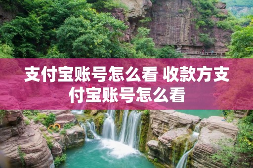 支付宝账号怎么看 收款方支付宝账号怎么看