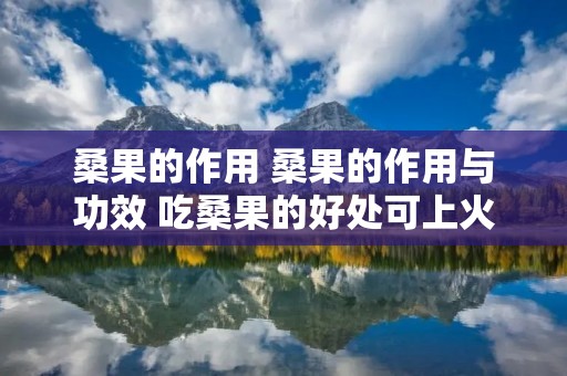桑果的作用 桑果的作用与功效 吃桑果的好处可上火 桑果的作用 桑果的作用与功效 吃桑果的好处可上火