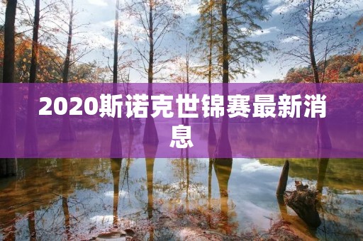 2020斯诺克世锦赛最新消息:中国选手争夺冠军 2020斯诺克世锦赛最新消息:中国选手争夺冠军