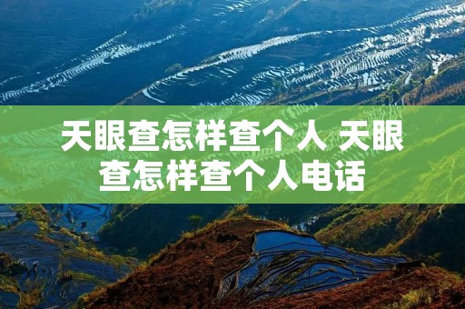天眼查怎样查个人 天眼查怎样查个人电话