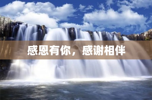 感恩有你,感谢相伴