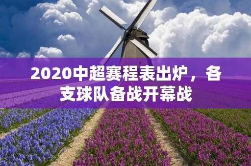 2020中超赛程表出炉,各支球队备战开幕战 2020中超赛程表出炉,各支球队备战开幕战