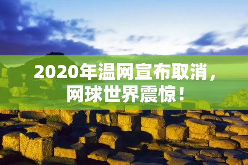 2020年温网宣布取消,网球世界震惊! 2020年温网宣布取消,网球世界震惊!