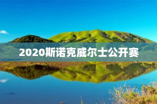 2020斯诺克威尔士公开赛：特鲁姆普夺冠，中国选手表现出色