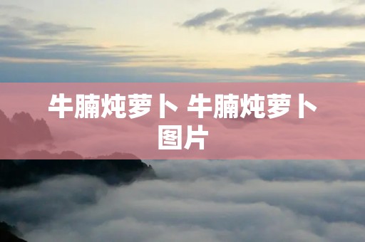牛腩炖萝卜 牛腩炖萝卜图片
