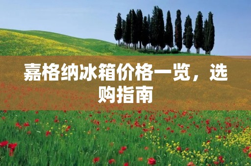 嘉格纳冰箱价格一览,选购指南 嘉格纳冰箱价格一览,选购指南