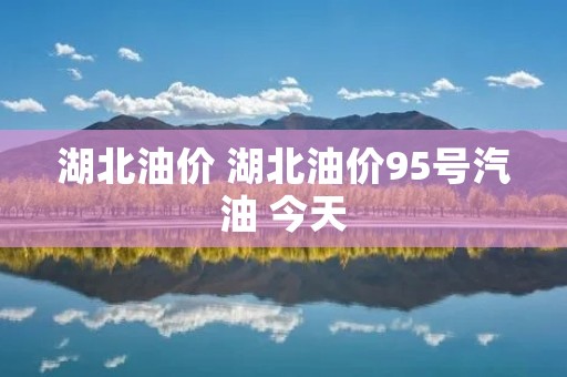 湖北油价 湖北油价95号汽油 今天