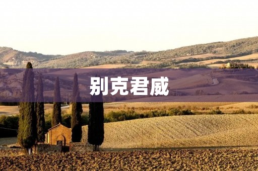 别克君威：豪华运动家庭轿车的代表