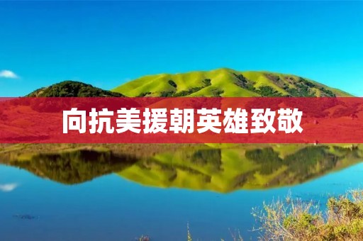 向抗美援朝英雄致敬