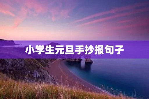 小学生元旦手抄报句子