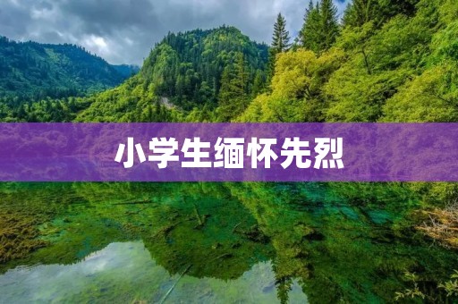 小学生缅怀先烈:让革命精神代代相传