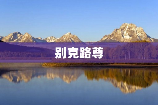别克路尊：豪华SUV王者之选