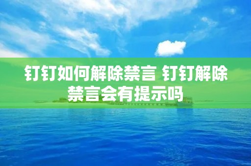 钉钉如何解除禁言 钉钉解除禁言会有提示吗