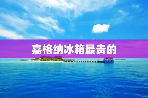 嘉格纳冰箱最贵的:探究豪华冰箱的价格背后 嘉格纳冰箱最贵的:探究豪华冰箱的价格背后