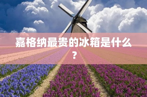 嘉格纳最贵的冰箱是什么? 嘉格纳最贵的冰箱是什么?