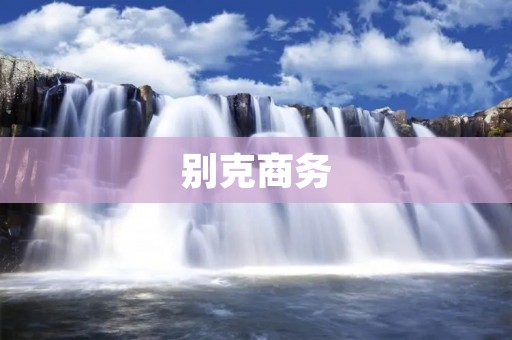 别克商务:豪华商务车的代表 别克商务:豪华商务车的代表