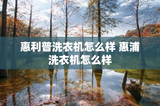 惠利普洗衣机怎么样 惠浦洗衣机怎么样