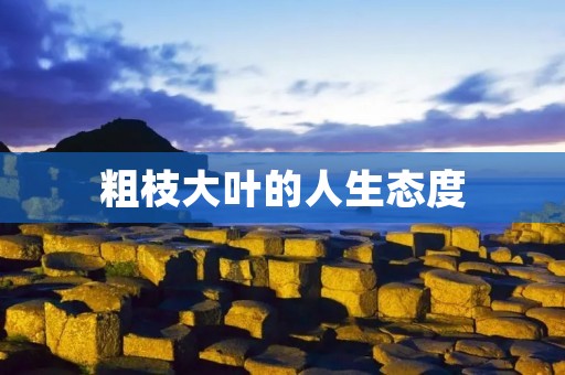 粗枝大叶的人生态度 粗枝大叶的人生态度