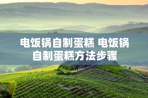 电饭锅自制蛋糕 电饭锅自制蛋糕方法步骤