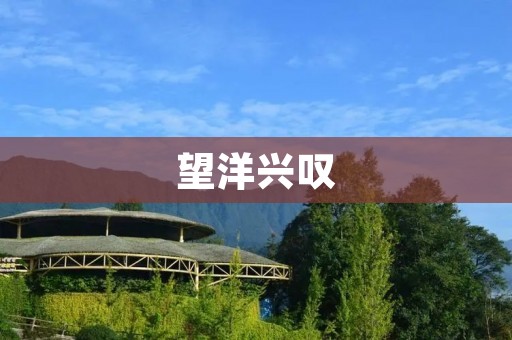 望洋兴叹:面对国内外巨大挑战,我们应该如何应对? 望洋兴叹:面对国内外巨大挑战,我们应该如何应对?