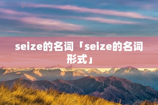 seize的名词「seize的名词形式」
