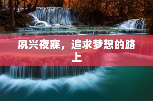 夙兴夜寐，追求梦想的路上