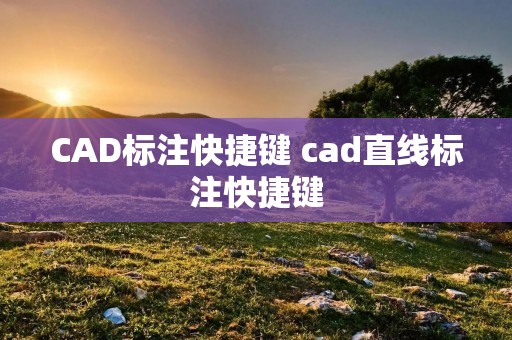 CAD标注快捷键 cad直线标注快捷键