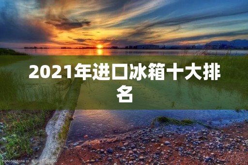 2021年进口冰箱十大排名 2021年进口冰箱十大排名