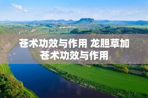 苍术功效与作用 龙胆草加苍术功效与作用