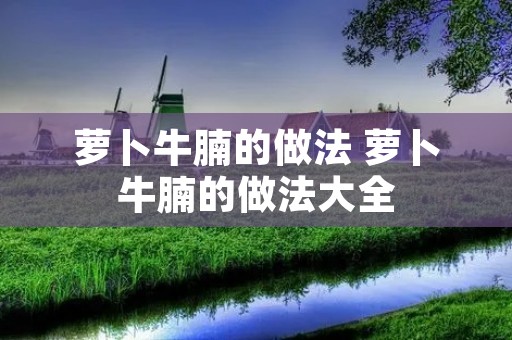萝卜牛腩的做法 萝卜牛腩的做法大全