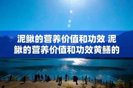 泥鳅的营养价值和功效 泥鳅的营养价值和功效黄鳝的区别