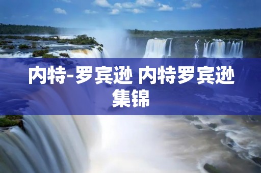 内特-罗宾逊 内特罗宾逊集锦