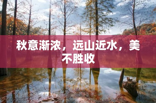 秋意渐浓,远山近水,美不胜收