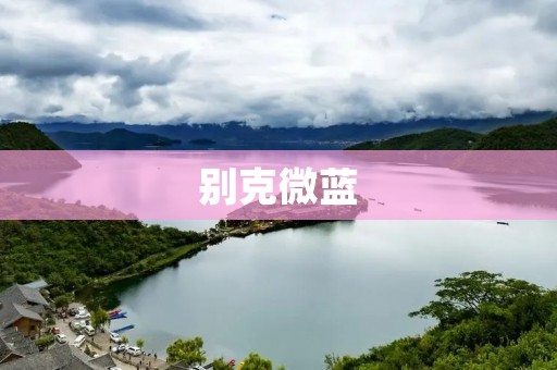 别克微蓝：大空间小车的完美选择