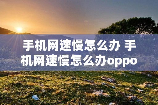 手机网速慢怎么办 手机网速慢怎么办oppo
