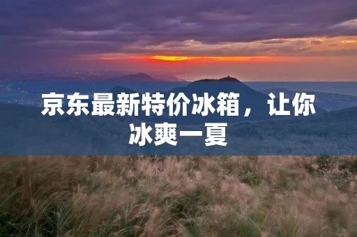 京东最新特价冰箱,让你冰爽一夏 京东最新特价冰箱,让你冰爽一夏