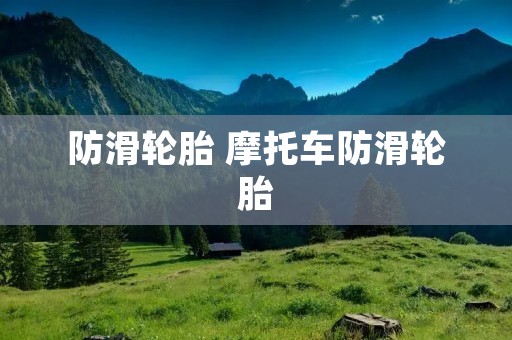 防滑轮胎 摩托车防滑轮胎