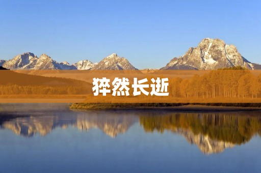猝然长逝：生命短暂，珍惜当下