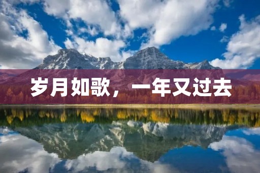 岁月如歌,一年又过去