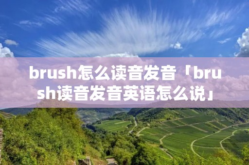brush怎么读音发音「brush读音发音英语怎么说」