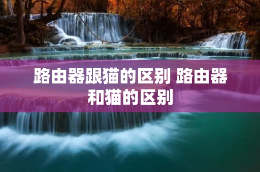 路由器跟猫的区别 路由器和猫的区别