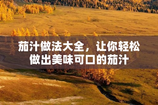 茄汁做法大全,让你轻松做出美味可口的茄汁 茄汁做法大全,让你轻松做出美味可口的茄汁