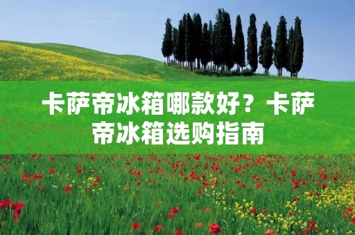 卡萨帝冰箱哪款好？卡萨帝冰箱选购指南