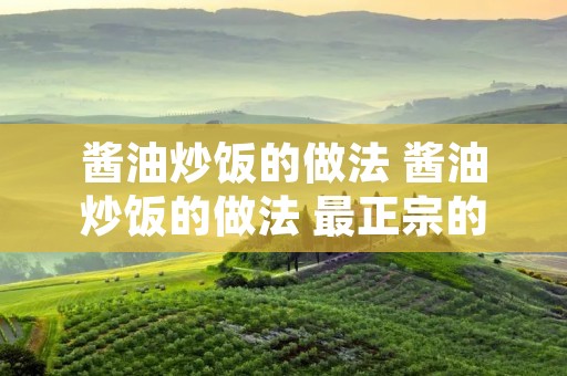 酱油炒饭的做法 酱油炒饭的做法 最正宗的做法
