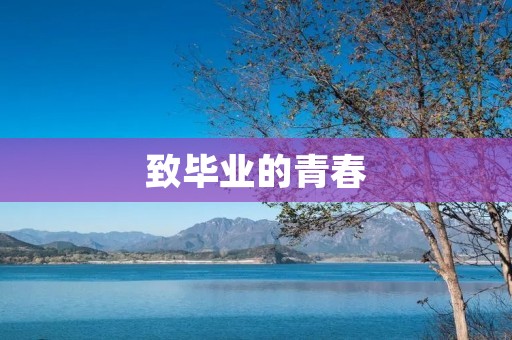 致毕业的青春